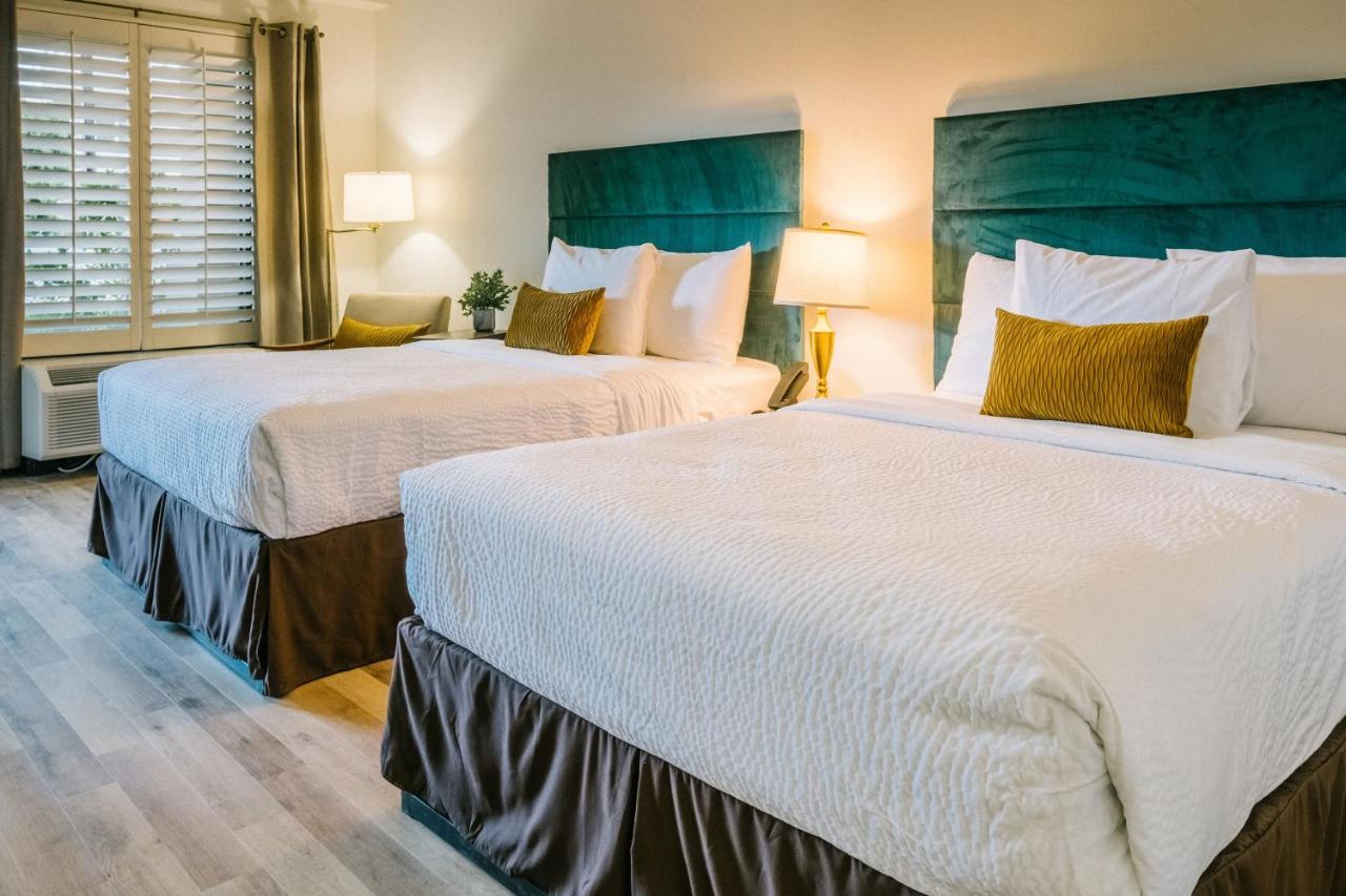 Hotel L3 Oasis
